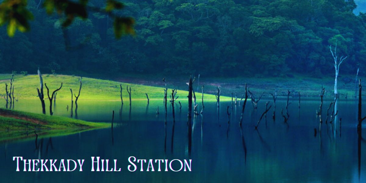 Thekkady Hill Station