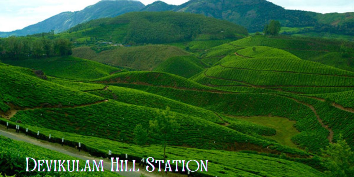 Devikulam Hill Station 