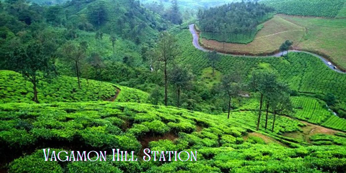 Vagamon Hill Station 