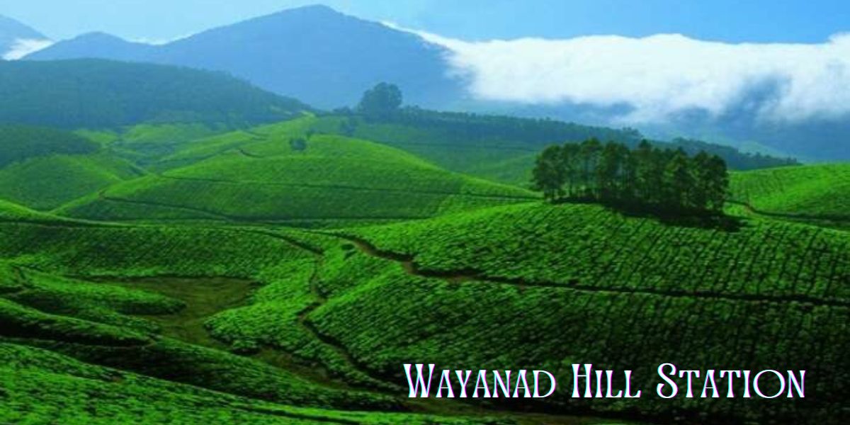 Wayanad Hill Station