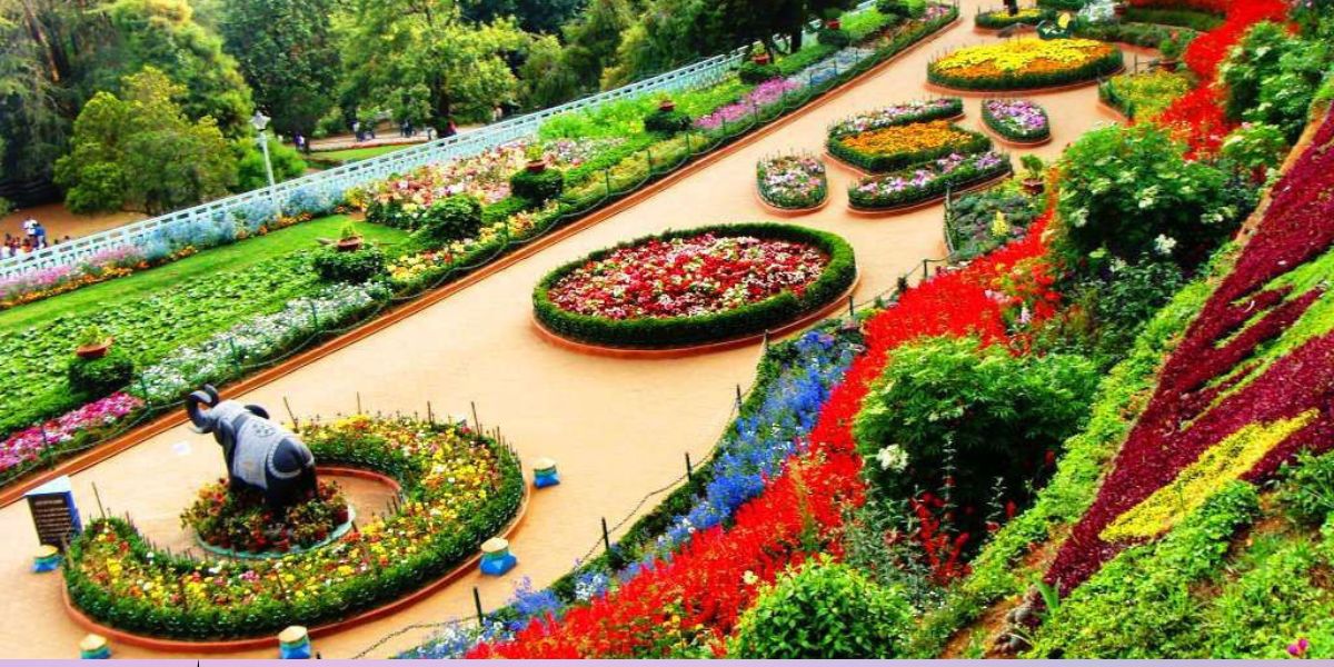 Ooty Rose Garden