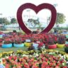 Flower show Ahmedabad 2025